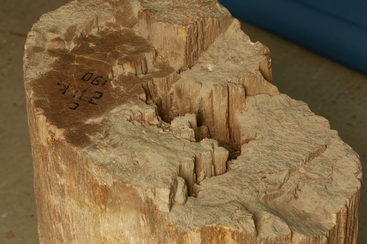 petrified-log