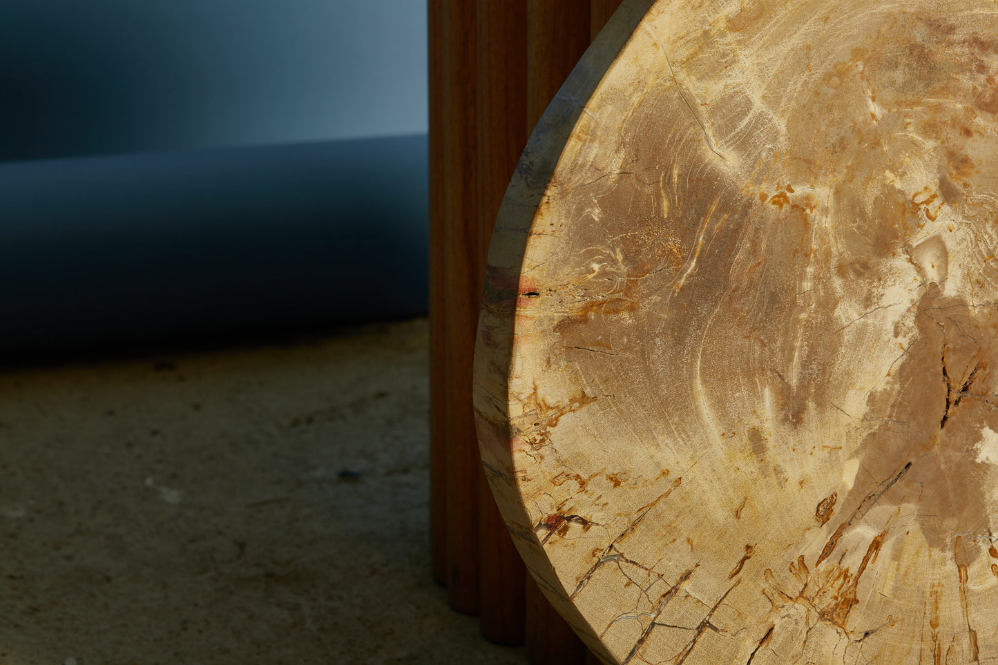 Beige Colored Slice of Petrified Wood from Borneo