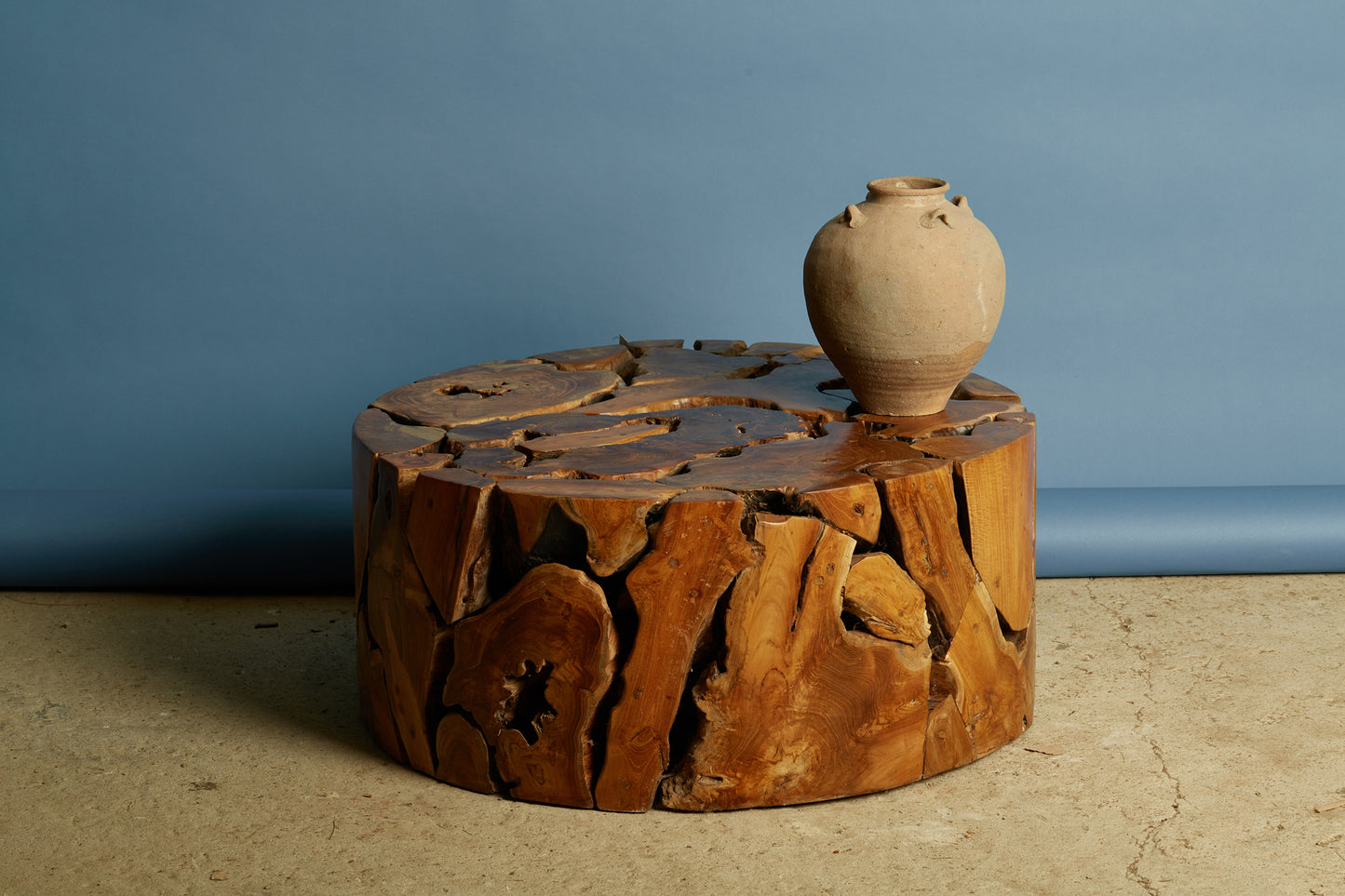 Natural Round Teak Branch Coffee Table