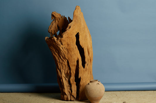 eroded-teak-sculpture