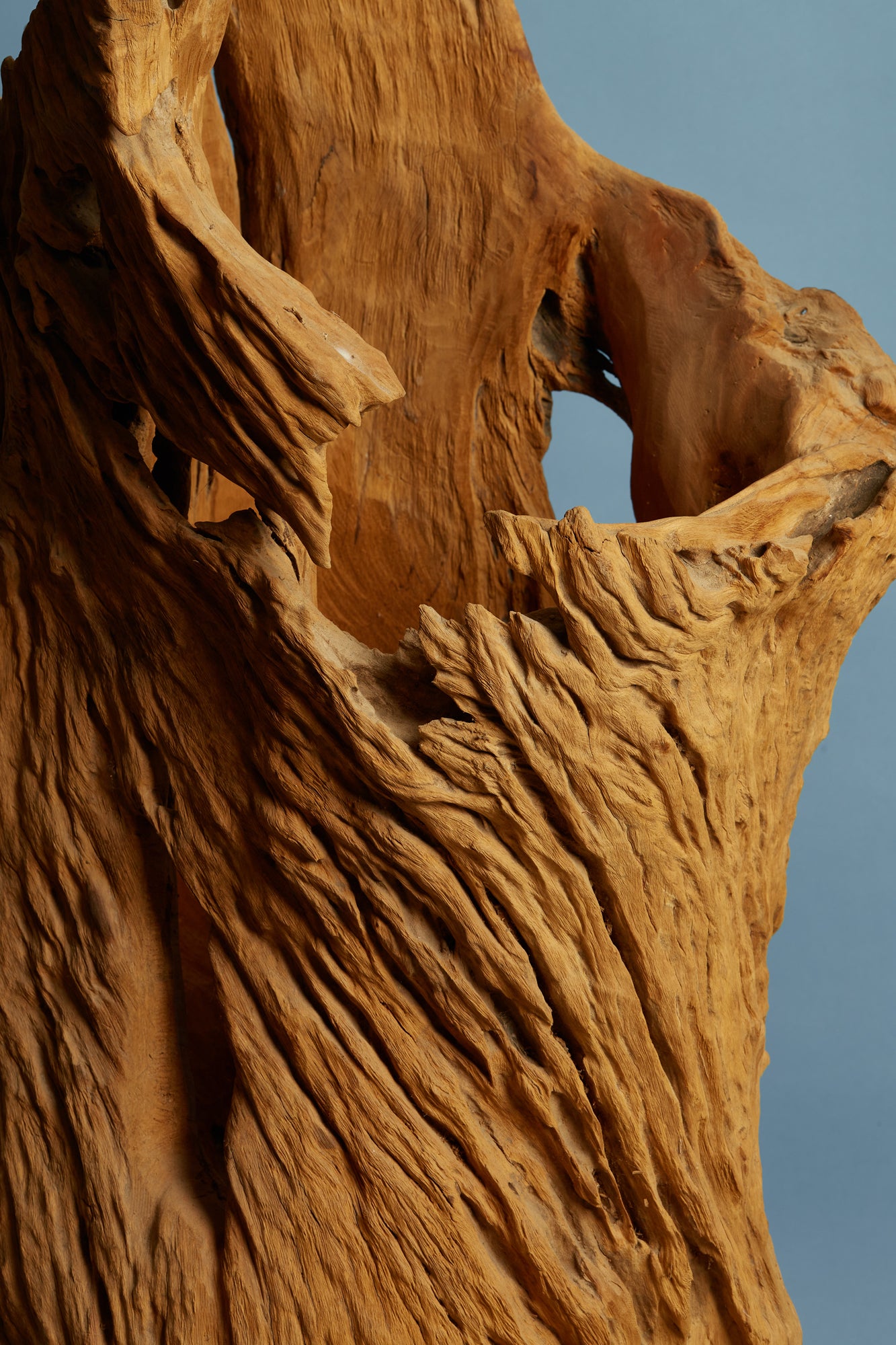 eroded-teak-sculpture