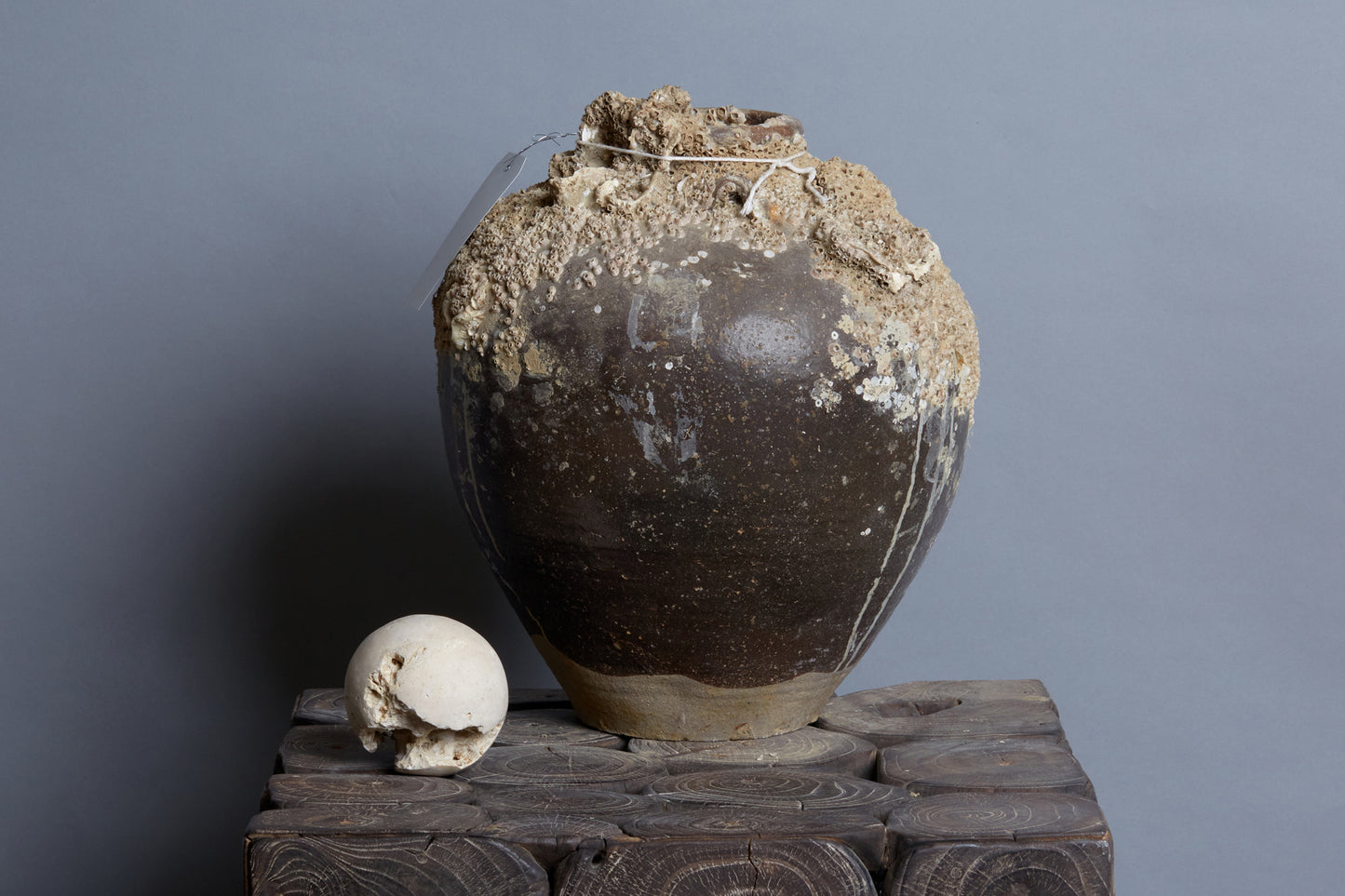 Large Shipwreck Pot
